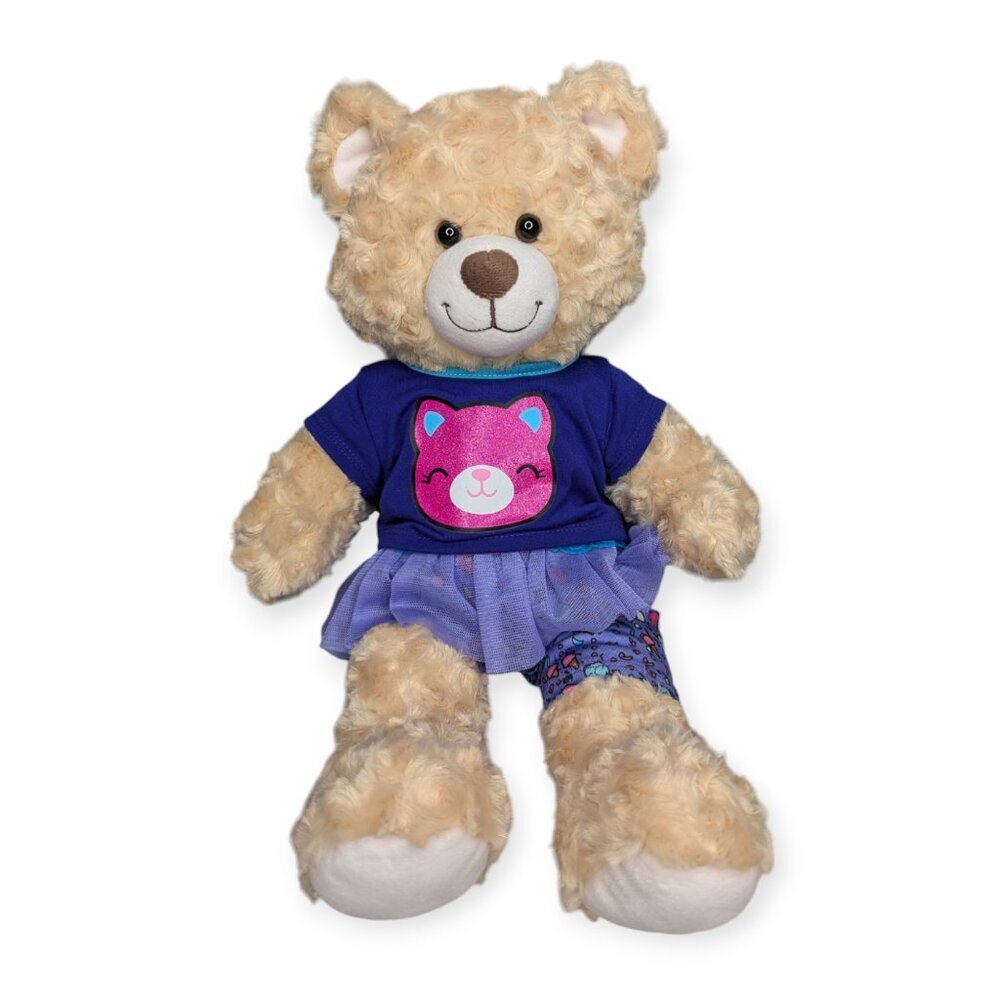 Build-A-Bear BAB Bear Plush with Purple & Blue Outfit